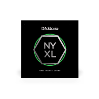 D`ADDARIO NYNW034