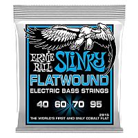 ERNIE BALL P02815